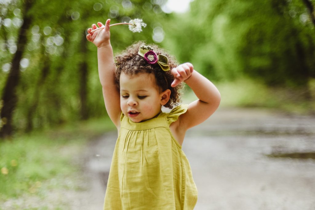 Preservation-Adoption Services